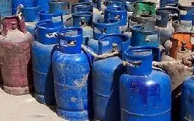 حاسة الشم البشرية تطورت 10 مرات