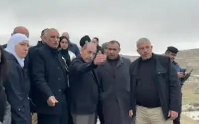 فوائد نوى البلح