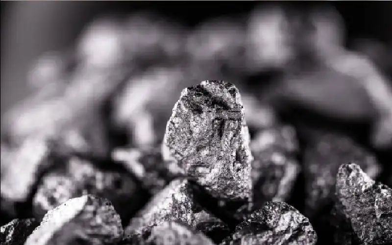 الكنز المدفون.. اكتشاف تاريخي في أستراليا