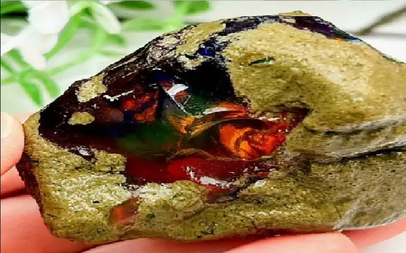 بالأيدي العارية.. اكتشاف كنز مخفي على