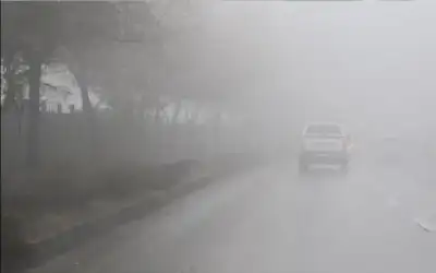 كوادر محمية دبين تنفذ 1500 جولة