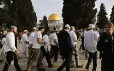 أكثر من 65 ألف مستوطن إسرائيلي