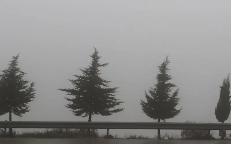 الأرصاد تكشف المناطق الأكثر تعرضا للهطول