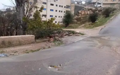 52 % من مصابي كورونا بالأردن