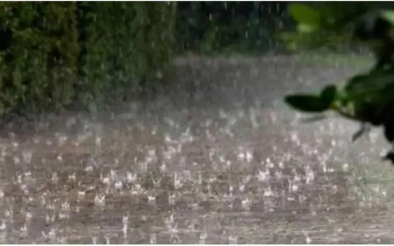 الزراعة: أمطار الخير تعزز الإنتاج الزراعي