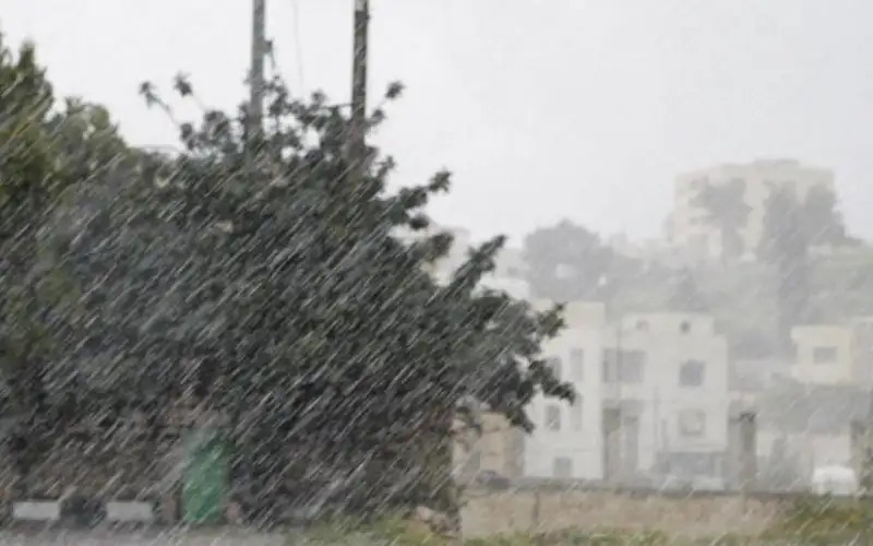 دير علا تتصدر الهطولات المطرية بـ28.5