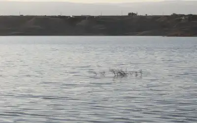 الأردن ـ وزارة المياه: قرب فيضان سد زرقاء