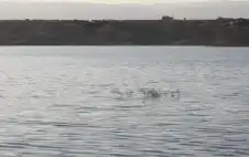 وزارة المياه: قرب فيضان سد زرقاء