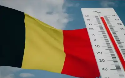 لماذا يتوقف نشاط الأمعاء وماذا تفعل