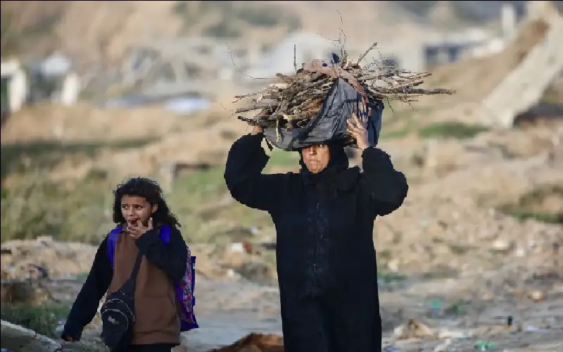 الأردن و7 دول: الوضع في غزة