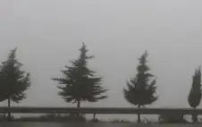 ليلة شديدة اstrongلبstrongرودة في الأردن وتحذيرات