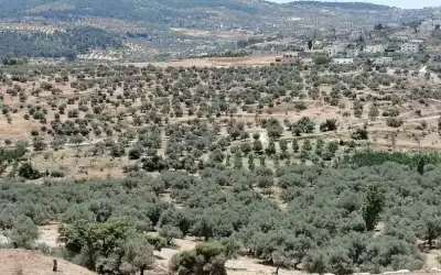 عمان الأهلية تطلق الأسبوع العلمي التكويني