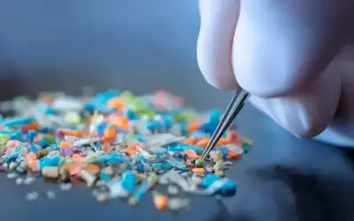 اميركية تقطع الاردن ركضا