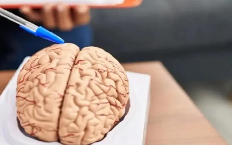 الأشخاص الأكثر نشاطا في فترة بعد