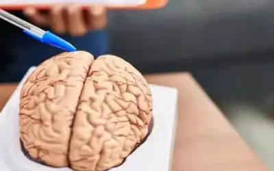 الأشخاص الأكثر نشاطا في فترة بعد