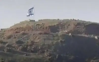 نعي مرام سفاريني