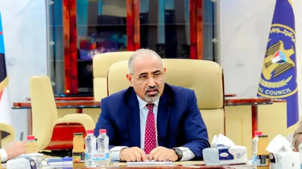 التحالف بقيادة السعودية: الزبيدي استقل سفينة