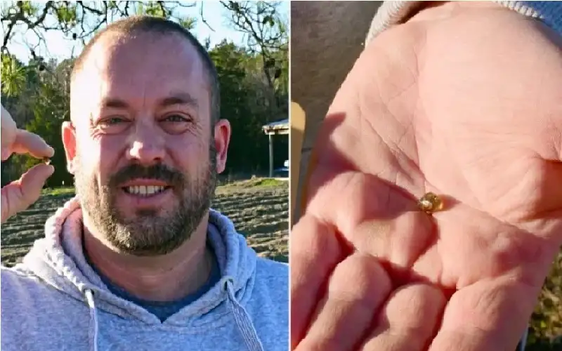 بمساعدة الذكاء الاصطناعي.. طفل يقود عائلته