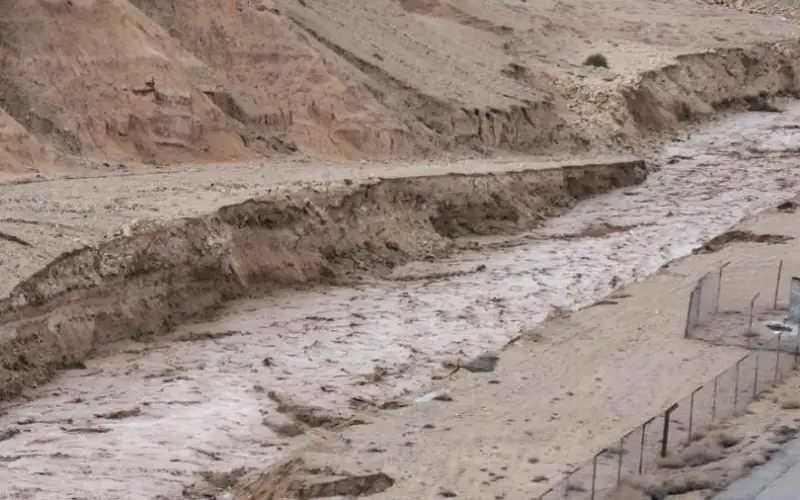 وزارة الإدارة المحلية: الكرك والطفيلة ضمن