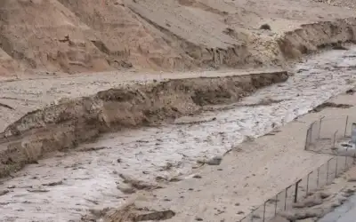 بالصور.. عبدالفتاح الأقطش (ابو انس) يحتفل