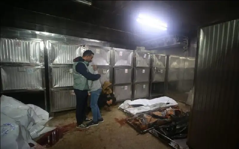 14 شهيدا و17 إصابة خلال 24