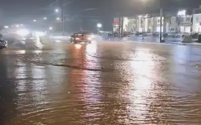 الأردن ودول عدة يستنكرون زيارة مسؤول