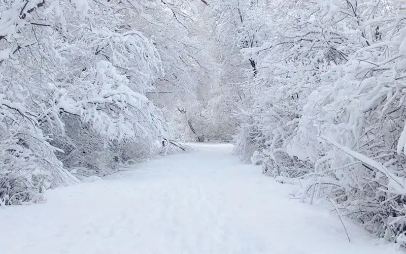 صحيفة نيسان ـ الأرصاد : المنخفض ينتهي عصر الغد