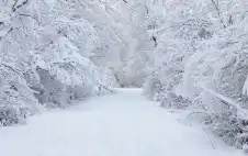 الأرصاد : المنخفض ينتهي عصر الغد