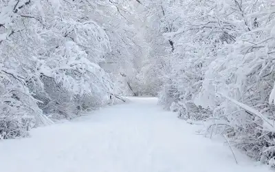 تركيا.. لغز كنز الذهب المسروق من