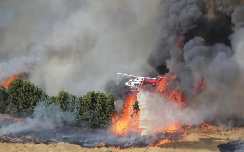 حرائق الغابات تدمر منازل عشرات الآلاف