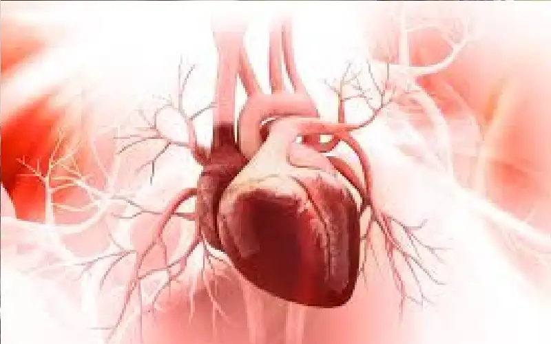 4 عادات يومية كلمة السر لصحة