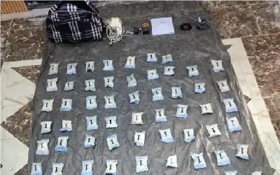 صحيفة نيسان ـ المنطقة العسكرية الشرقية تحبط محاولة تهريب