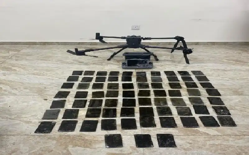 المنطقة العسكرية الجنوبية تحبط تهريب مخدرات