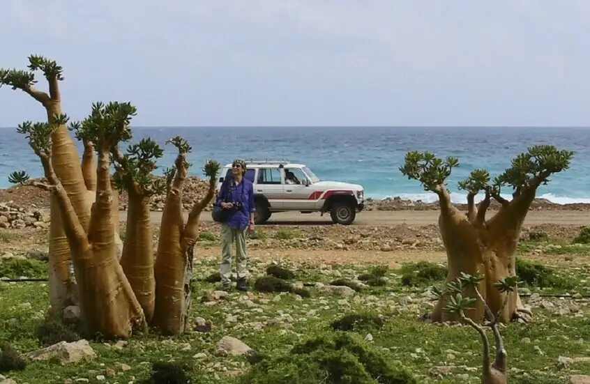 وزير يمني يؤكد إجلاء جميع العالقين