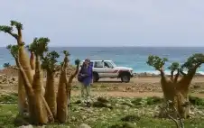 وstrongزيstrongر يمني يؤكد إجلاء جميع العالقين