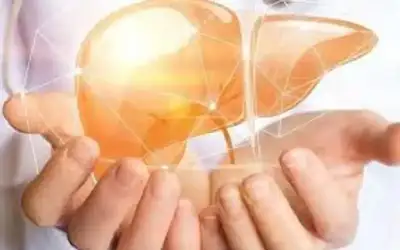 الصفدي ونظيره المصري يبحثان تطورات الأوضاع