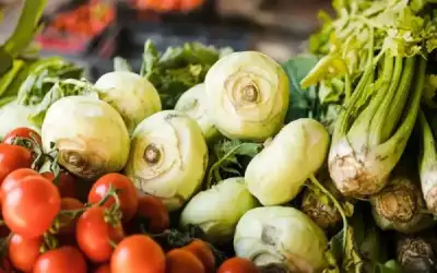 بالصور.. نوفان بركات السليمات يولم بزفاف