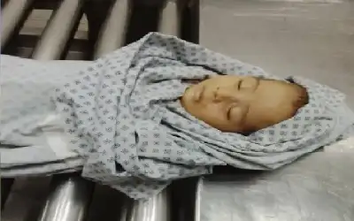 نعي الدكتور نبيل صالح مهيار