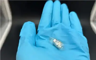 زوجان أمريكيان جمعهما الود والموت أيضا