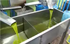 وصول الدفعة الاولى من strongزيstrongت الزيتون