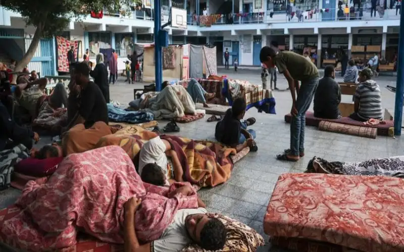 انتشار فيروسات متحورة في غزة وسط