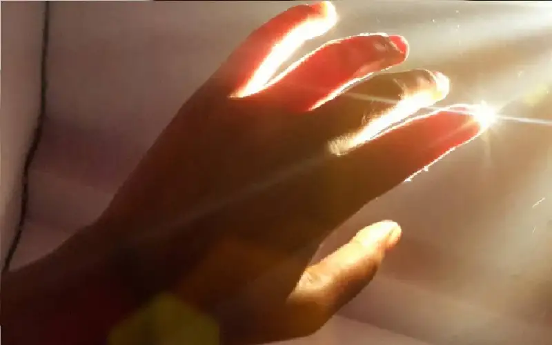 بريق الحياة.. ما قصة الضوء الذي