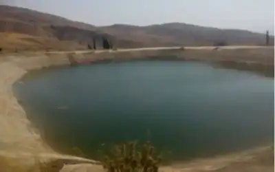 400 طن واردات سوق العارضة للخضار