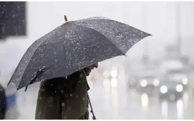 البيانات المالية لـالفوسفات الأردنية تحملها إلى