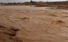 الدفاع المدني ينقذ 58 شخصا داخل