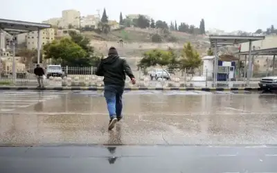 حبات مانغو تتساقط على رؤوس السودانيين