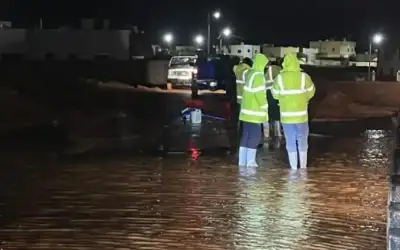 الحباشنة: (عصابة) الملقي ستعيد الاحتجاجات إلى