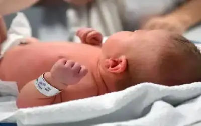 امرأة نيسان ـ فرنسا: الوفيات تتجاوز المواليد لأول مرة