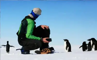 الأمن العام .. رؤية ملكية تجدد