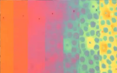 العنب والناطور: حماس تقاوم الاحتلال الإسرائيلي..